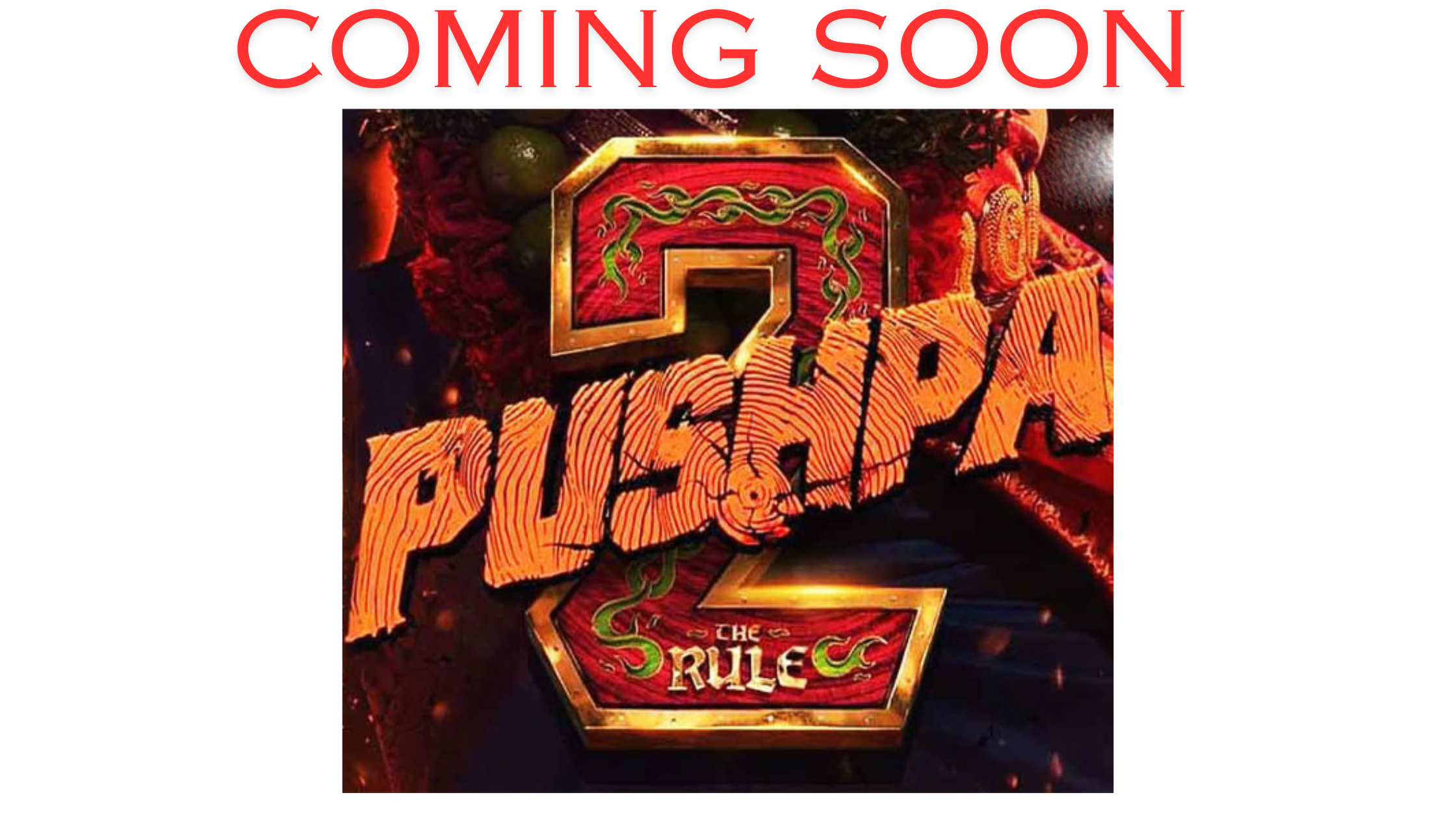 Pushpa 2 : The Rule Trailer Released 